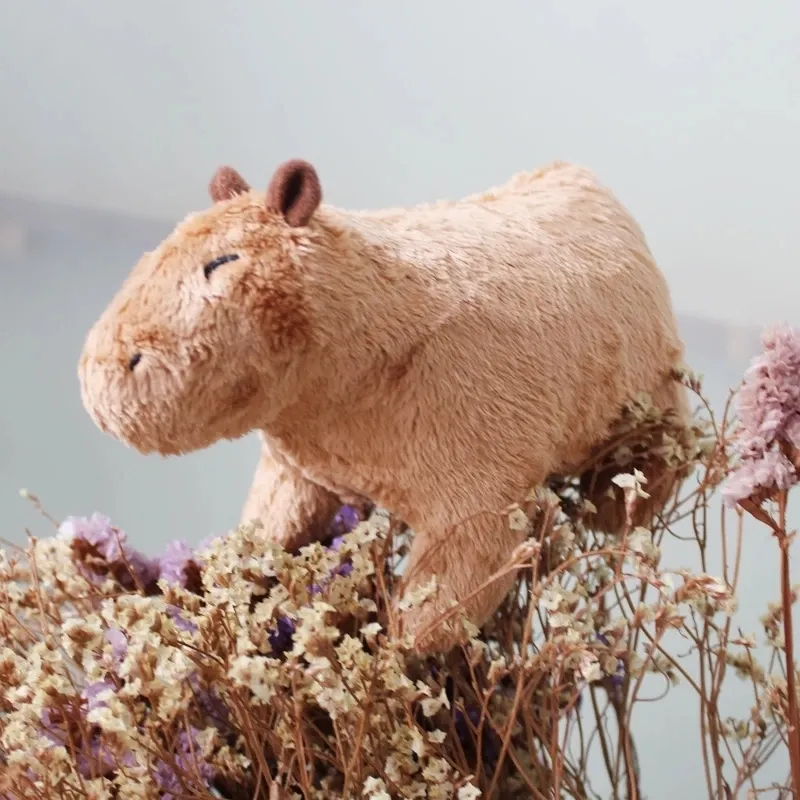 Bonita e adorável Fluffy Baby Capybara de desenho animado