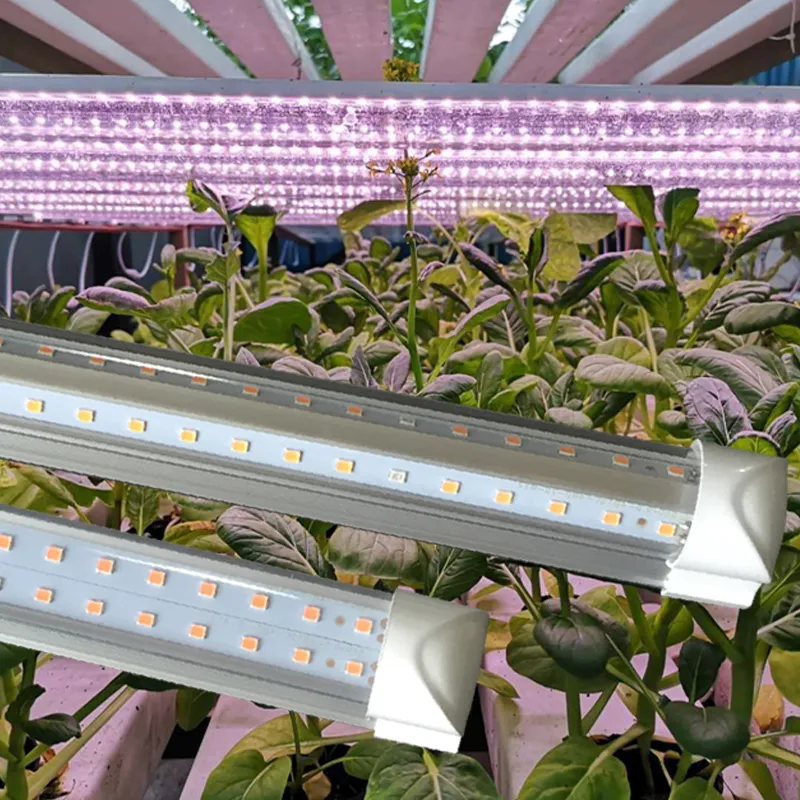 8Ft T8 Full Spectrum LED Grow Lights for Medical Plants Bloom Fruit V Shaped Integration Tubes Pink Color 2024 CRESTECH