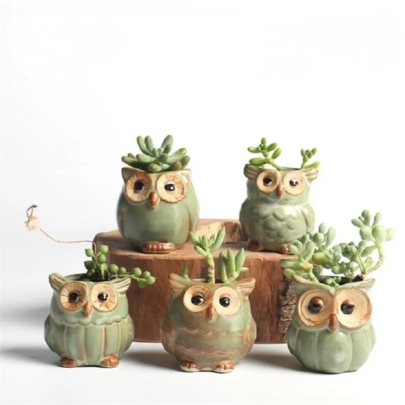 5 Pcs / Set Creative Céramique Hibou Forme Pots De Fleurs Planteur Bureau Conception Mignonne Succulent Y200723