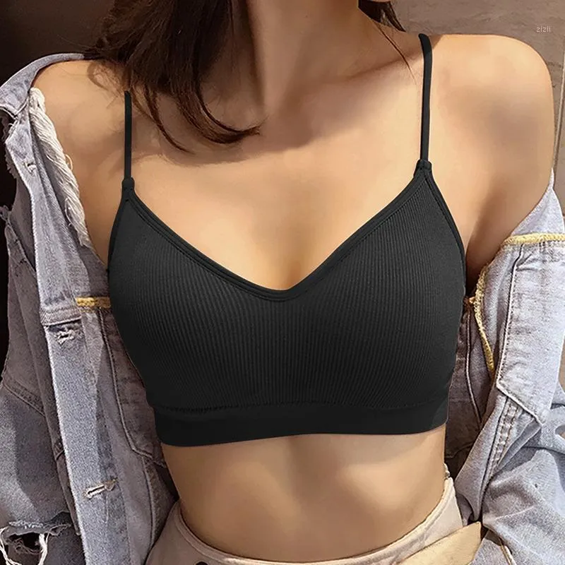Running Jerseys Sexy Solid Women Sports Bra Tops High Impact For Gym Top Fitness Yoga Pad Sportswear Tank Sport Push Up Bralette