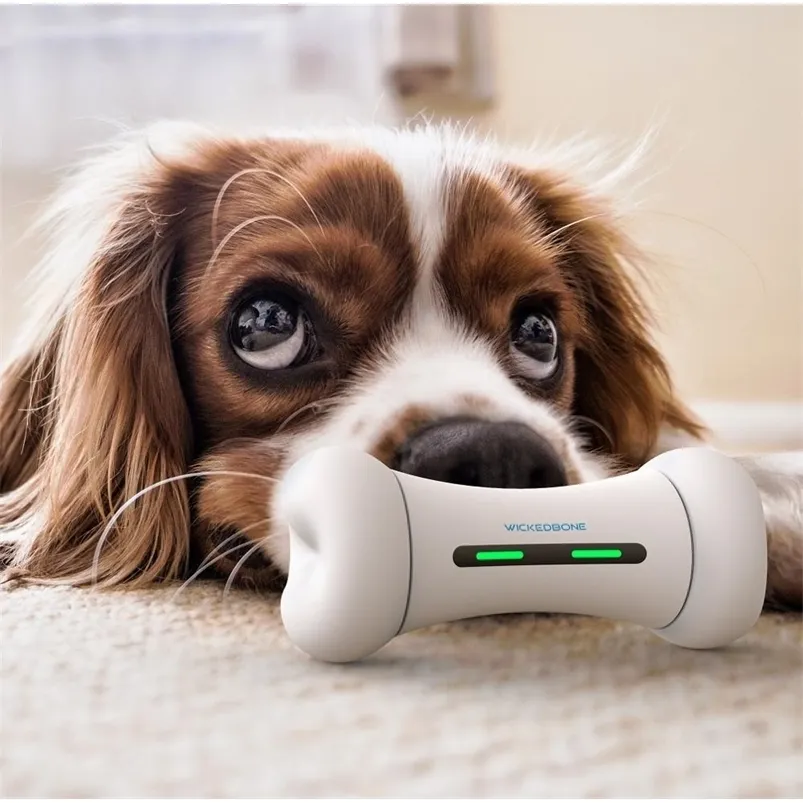 Smart Dog Toys: Interactive Bone For Emotional Wellbeing, App