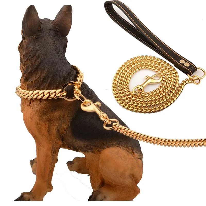 Hondenkragen ontleen roestvrij staal Pet Gold Chain Leather Handgreep draagbare riem touwbanden puppy katten training slip kraag