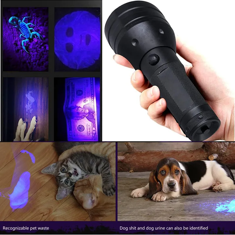 Lampe de poche UV lumière noire UV, détecteur d'urine pour animaux de  compagnie à lumière noire ultraviolette 51 LED pour urine de chien/chat,  taches sèches, punaises de lit, correspondant à l'éliminateur d'odeurs