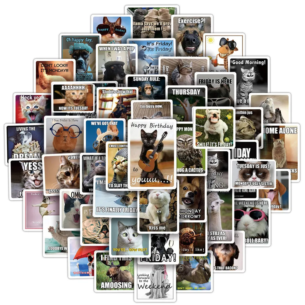 Waterproof Cat Meme Stickers For Skateboard, Laptop, Car Funny Decals ...