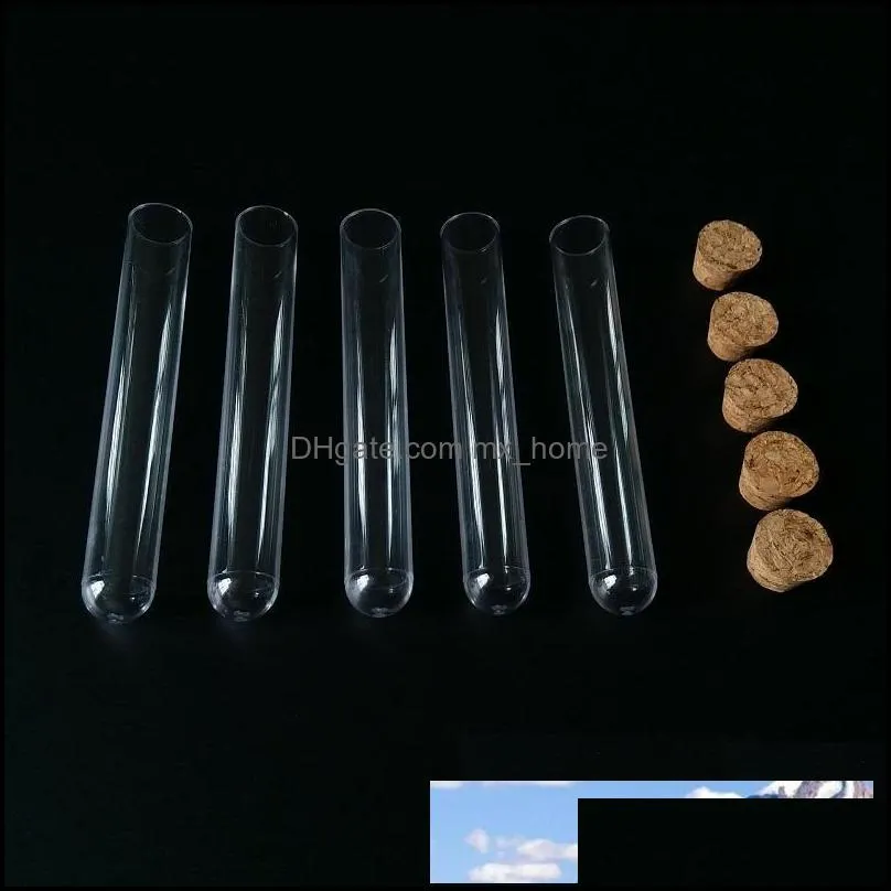 Packing Bottles Clear Food Grade PS Plastic Test Tube with Cork Stopper 15x100mm 11ml Wholesale WB1229