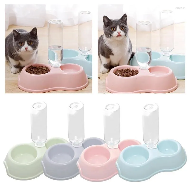 Cat Bowls Fearers Pet Bowl Thin Rove round blastic مع تناول زجاجة شرب وكلب مزدوج الأغراض