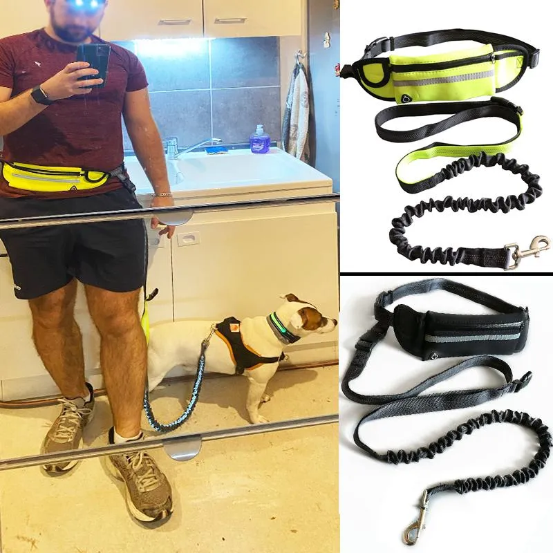 Colarinhos de cachorro coleiras correndo cinto de trela para uma corrida com tração refletora de nylon corda elástica cintura de telefone