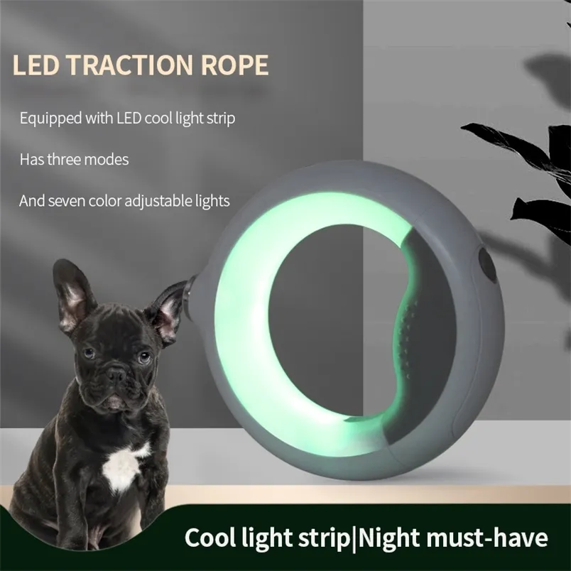 Laisse de chien rétractable Luminous LED Light Roulette Rope Pet Dog Lead Laisses longues automatiques pour petits et grands chiens 220610