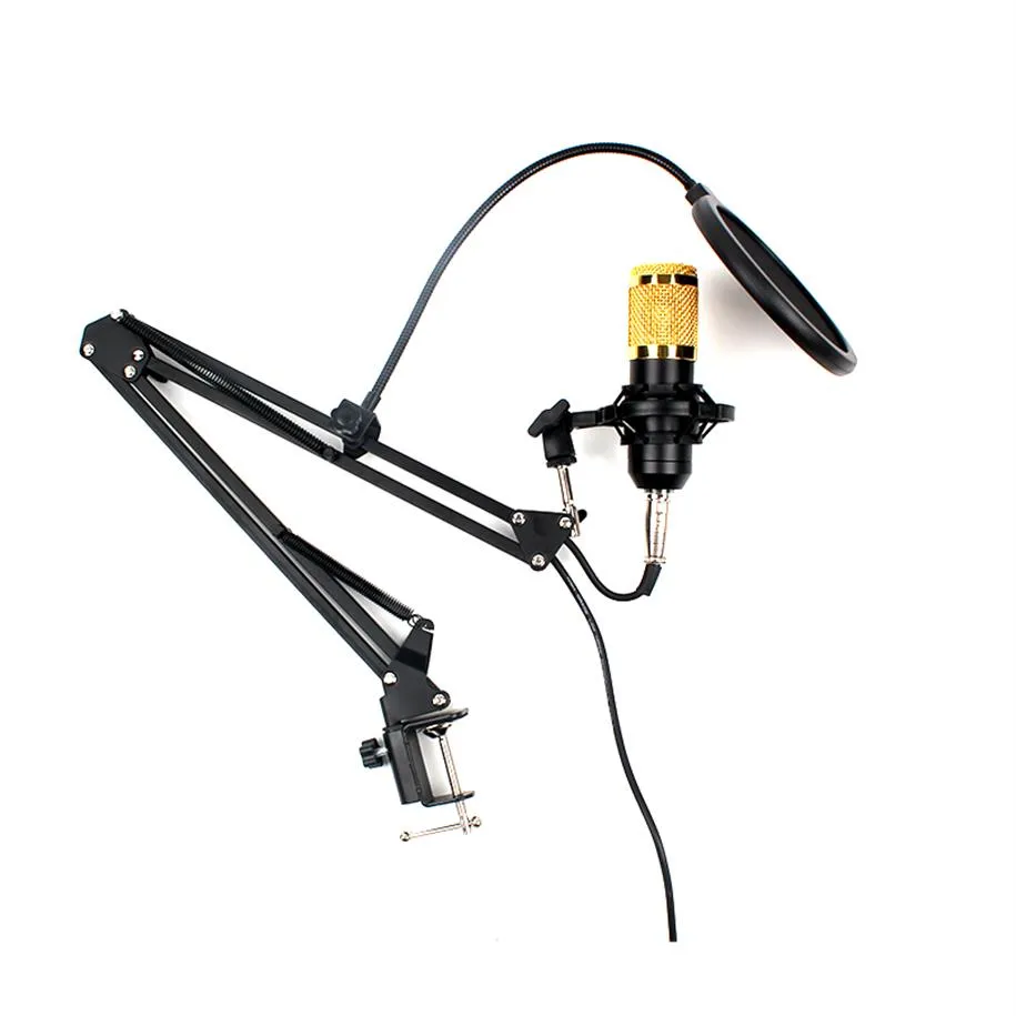 Live Sound Card Microphone Condenser Microphone Recording Computer
