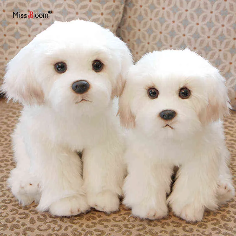 Bichon Fresh Puppy Cuddly Dog Cuddle Cute Simulation Pets Pets Fluffy Baby Dolls Подарки на день рождения