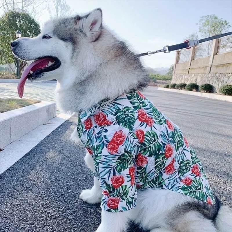 Large breed dog shirts top