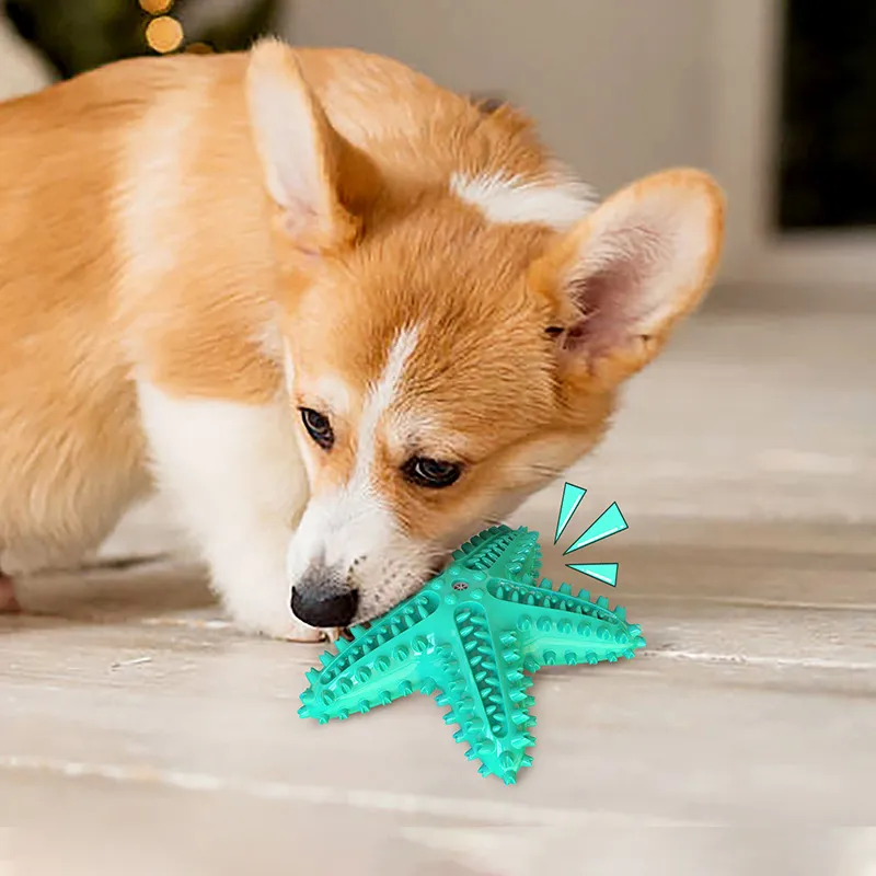 Husdjur levererar grossist hund leksak boll stjärnfisk röst tandborste molar pinne