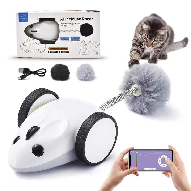 스마트 마우스 레이서 대화식 고양이 장난감 앱 원격 제어 자동 USB 충전 360도 전기 고양이 깃털 새끼 고양이 장난감 220510