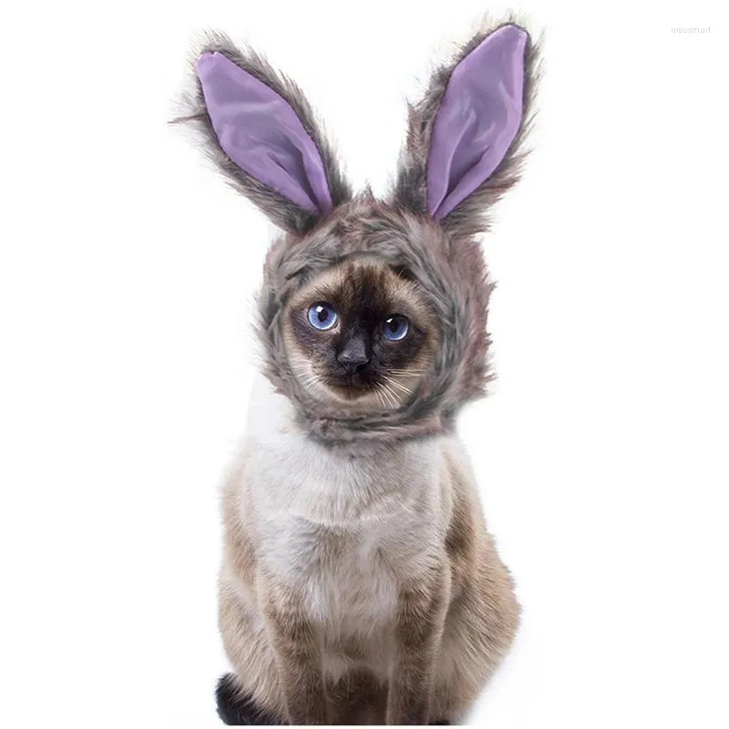 Katkostuums Cosplay kleding huisdier kleine hond katten kostuum pruik pet hoed voor honden Halloween kerstjurk