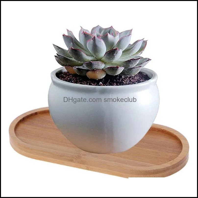 Oval Shape Bamboo Wood Saucer Plant Tray Mini Plant Flower Pot Stand Favor Succulent Pot Tray Simple Elegant Design Home Decor C0125