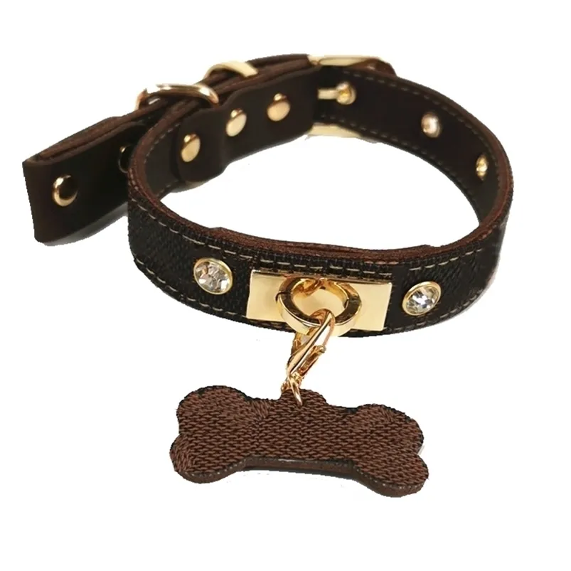 Collier de chien de luxe Leash Chihuahua Teddy French Bull Golden Retriever Labrador Dogs For Small Medium Large S LJ201112