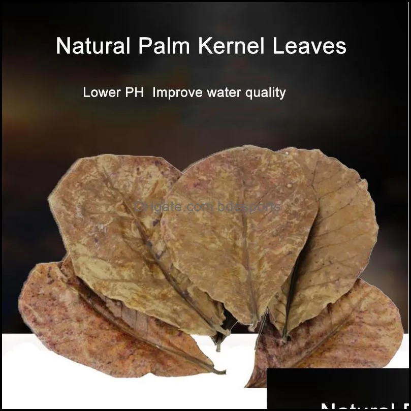 Otalmond Leaf Cleaning Her Aquarium Fish Aquariums Pet Supplies Home Garden Natura