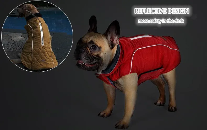 Pet Dog Clothes Winter (3)