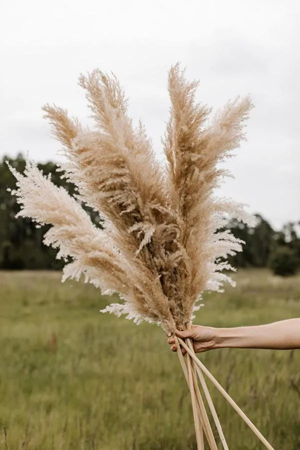 110 pezzi erba di pampa con coda di coniglio bianca, fiori secchi, fiori artificiali per la