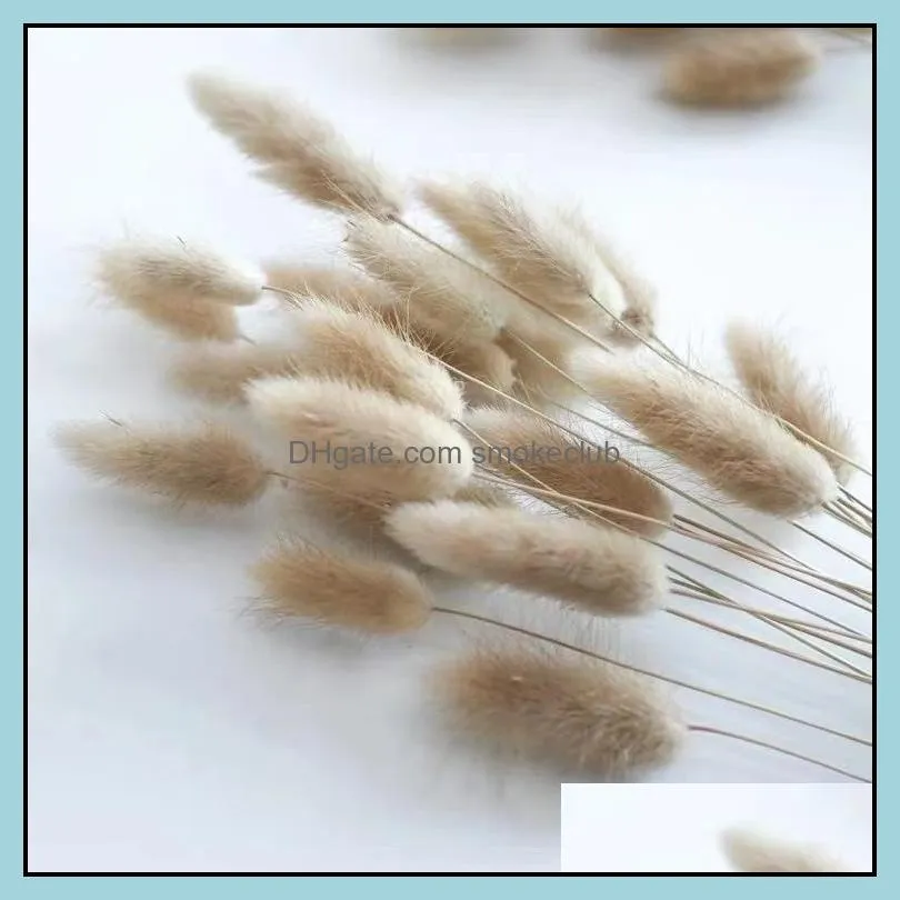 Decorative Flowers & Wreaths 30PCS/set Natural Dried Bouqet Arrangement In Vase Dog`s Tail Grass For Decoration DIY Wedding Home Wall