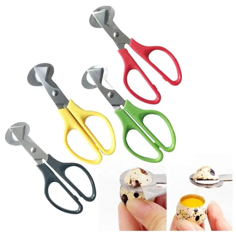 Quail small egg cutter crack pigeon bottle opener kitchen scissors bird tool blade cigar shear egg shell