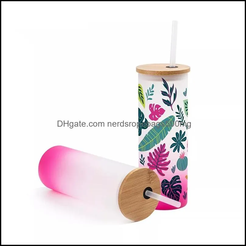 500ml Sublimation Glass Water Tumbler 17oz Gradient Frosted Glasses Water Bottles Outdoor Sports Carrying Drinking Bottle by sea