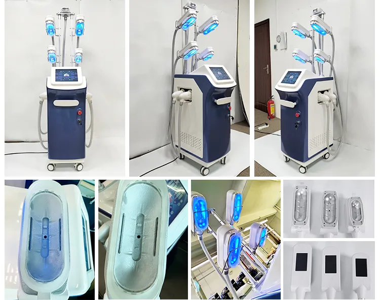 Cryolipolysis weight loss machine weight loss and slimming professional machine fat freeze cryolipolysis machine