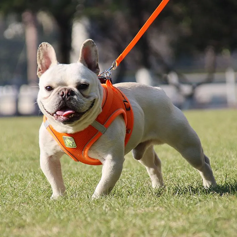 Dog Collars Leashes Harness Best調整可能柔らかい反射猫チェストストラップ通気性メッシュハーネスチワワパグブルドッグのリーシュセット