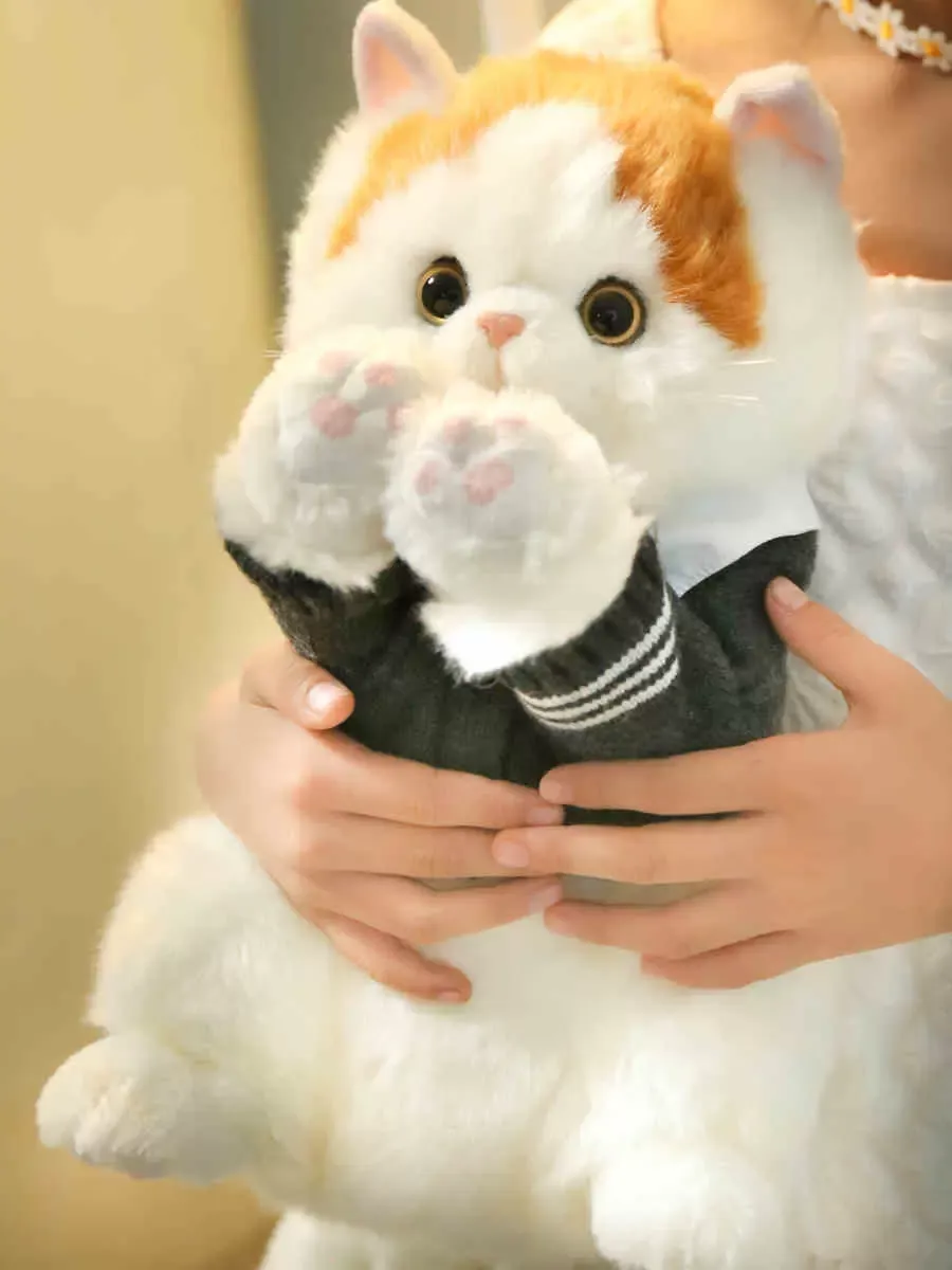 Gentleman japonais gros chat Orange en peluche britannique court Simulation chaton animaux de compagnie mignon à la main poupée cadeau pour les enfants