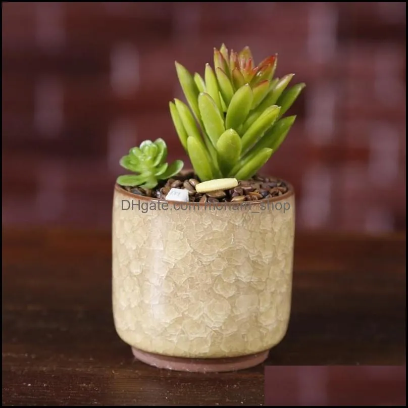 Ice Crack Flower Pots Succulent Garden Plants Pot Mini Thumb Desk Office Flowerpots Ceramic High Quality 3  BVkk