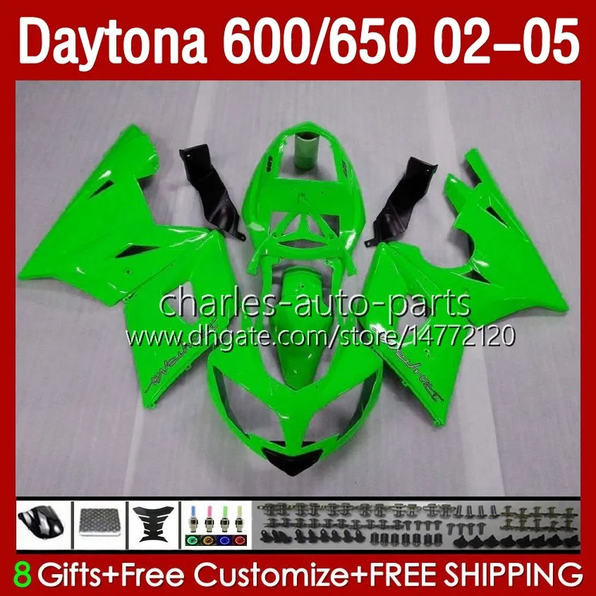 OEM Bodywork For Daytona 650 600 CC 600CC 650CC 02 03 04 05 Bodys 132No.22 Daytona650 Daytona-600 2002-2005 Daytona600 2002 2003 2004 2005 Fairings Kit glossy green blk