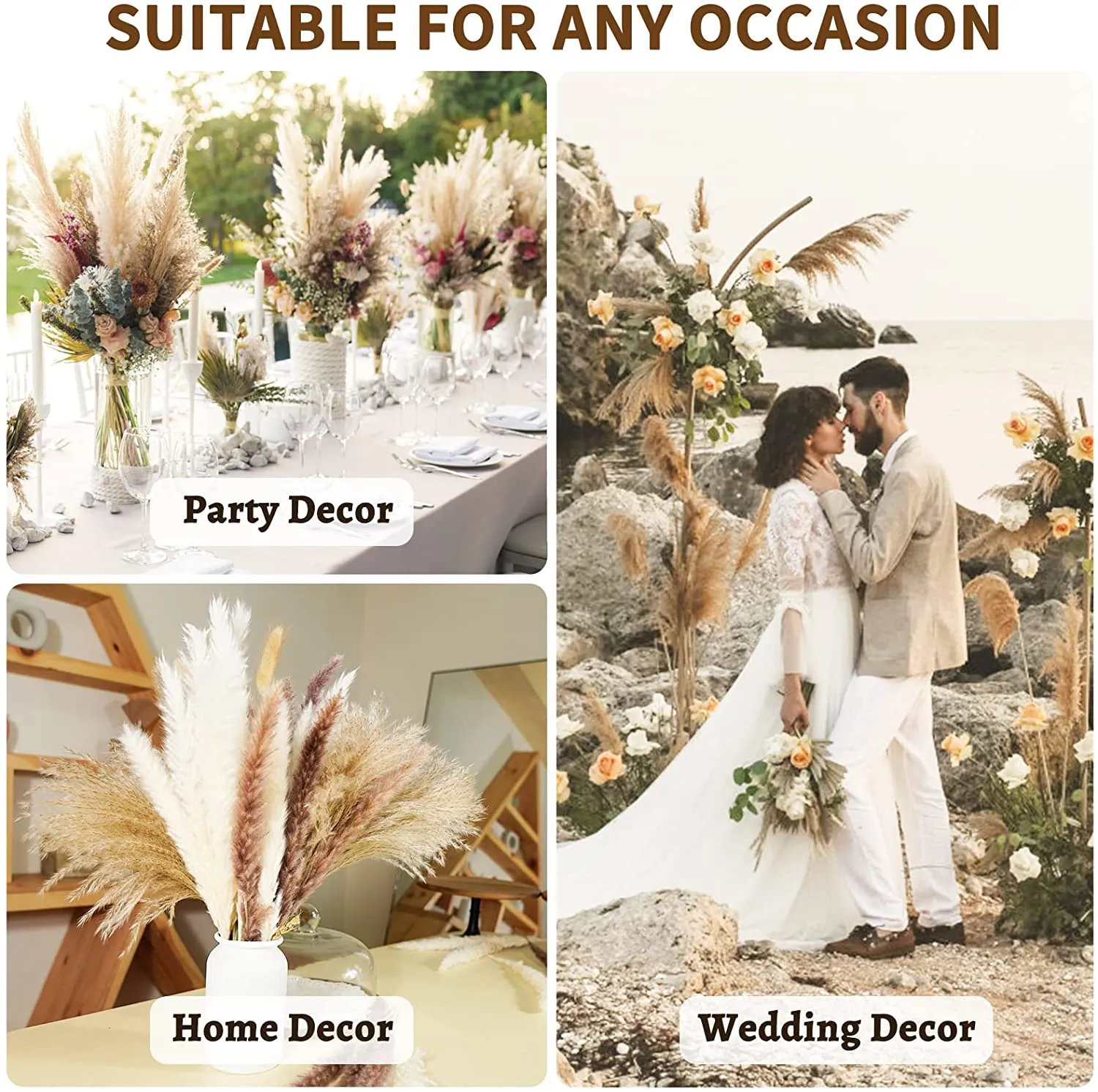 80Pcs Dried Pampas Grass Flower,Pampas Dried 6 Kinds Dried Plants natural  Decor