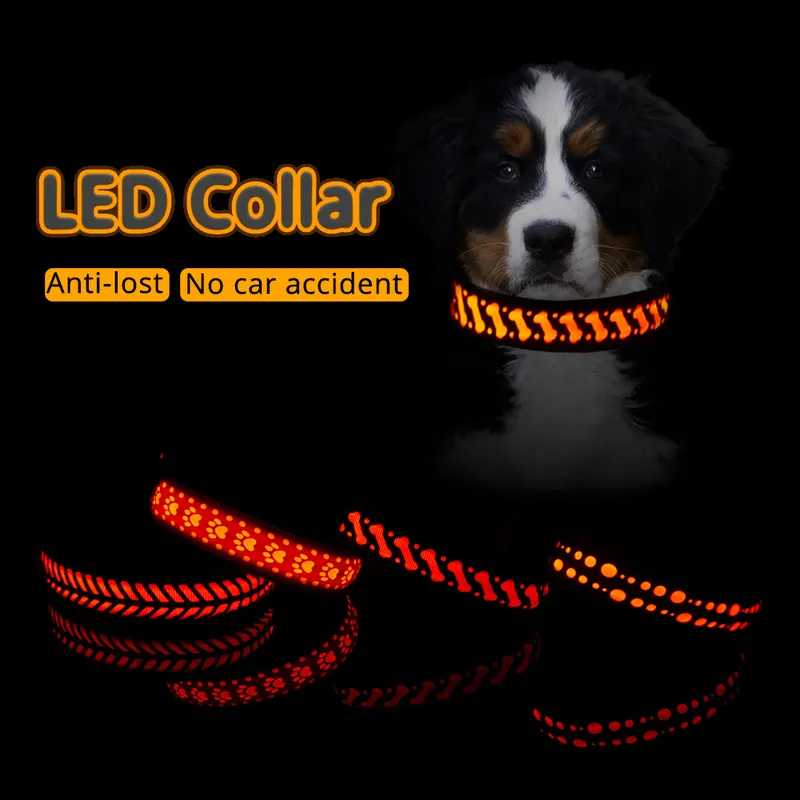 Светящийся шаблон воротник для собак ошейник Cool USB -зарядка