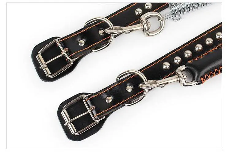 dog collar55