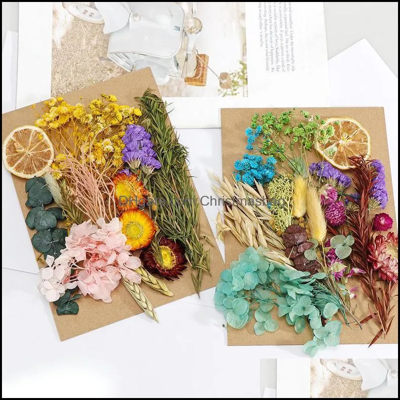 Real Dried Flower Dry Plants For Wedding Party Home Decorations Diy Craft Aromatherapy Candle Living Room Acc jllxIM