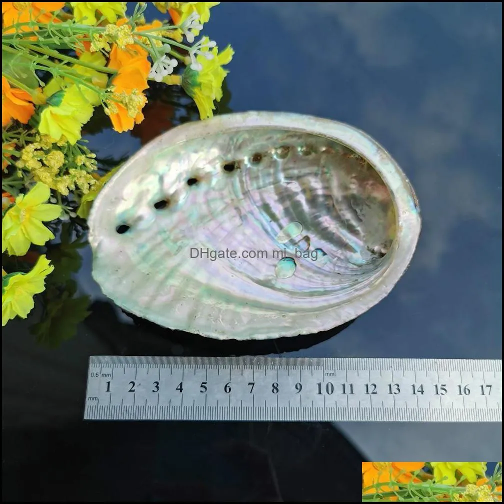 5 Sizes Abalone Shell Nautical Decor Seashell Beach Wedding Shells Ocean Decor Jewelry Diy Shell Soap Dish Aquarium Home Decor H