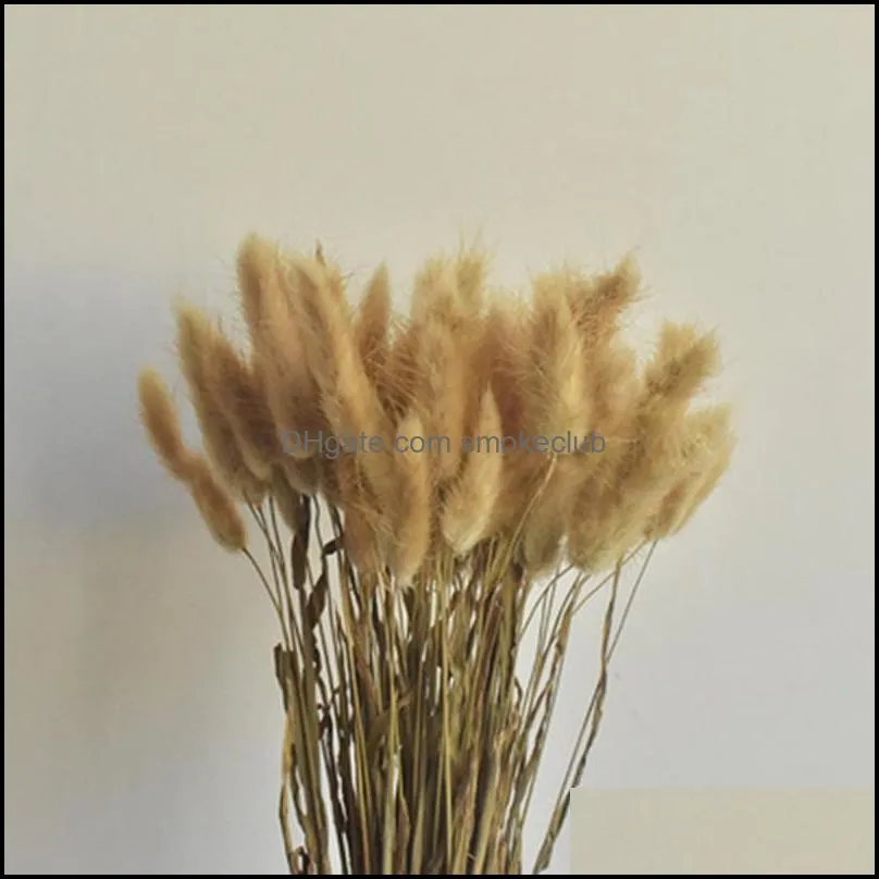 Decorative Flowers & Wreaths Multicolor Natural Dried Bouquet Real Tail Grass Fluffy Pampas Decor Mariage Room Wedding Decoration
