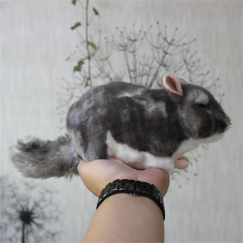 Realistic chinchilla stuffed animal top