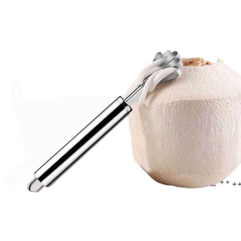 Owoce narzędzia skrobak kokosowy nóż do usuwania mięsa ze stali nierdzewnej warzywa slicer ryba skaler strugarka owocowa obierarka GCE13554