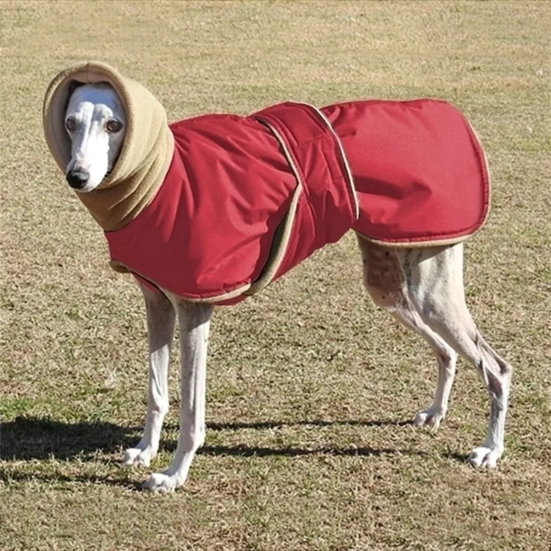 中程度の大きな犬用防水犬コートジャケットグレイハウンドウルフハウンドシェパード衣類201102