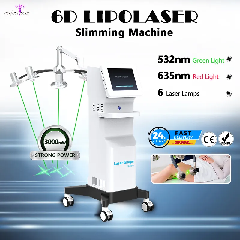 6d laser body slim machine 532 laser a luce verde che dimagrisce modellando la riduzione della cellulite Video manuale fornito