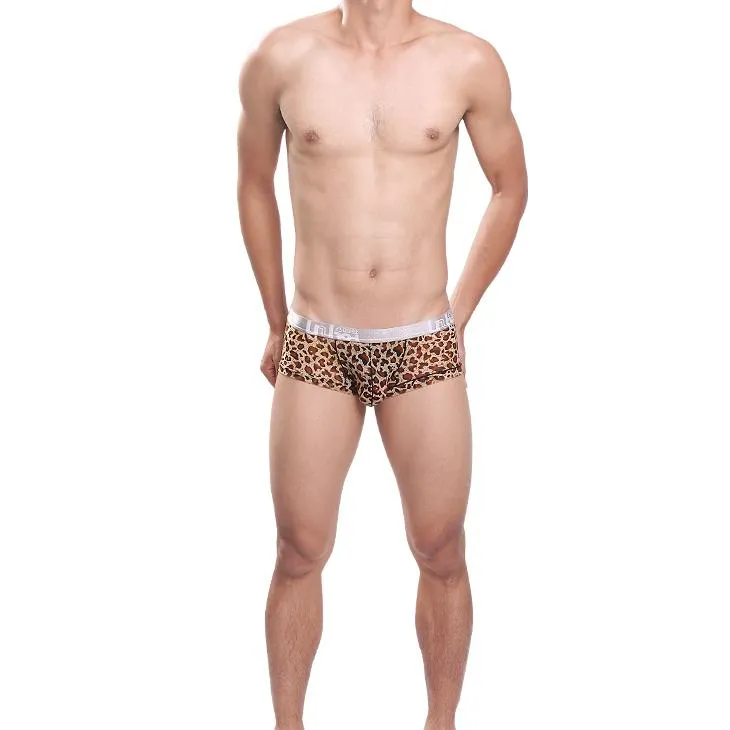 Underpants Sexy Men Underwear Mesh Boxer Shorts Leopard Transparent Mid-waist U Convex Pouch Panties Cueca Calzoncillos M-XXLUnderpantsUnder