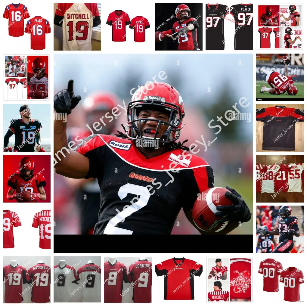 2022 Custom CFL Calgary Stampeders Jersey 82 Malik Henry 80 Reece
