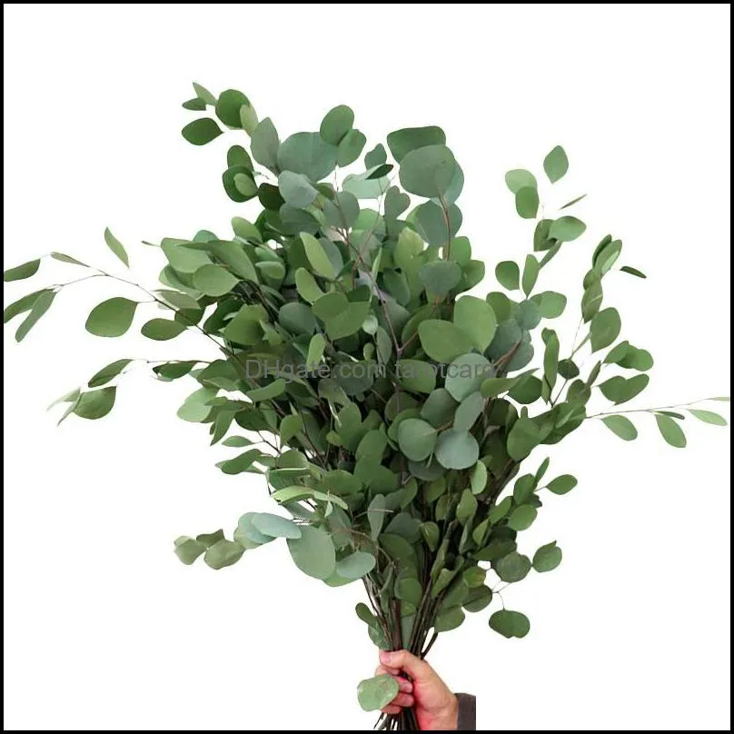 Decorative Flowers & Wreaths Eucalyptus Leaves Bouquet Eternal Dried Flower For Wedding Decor Language Unique And Durable Gift Family