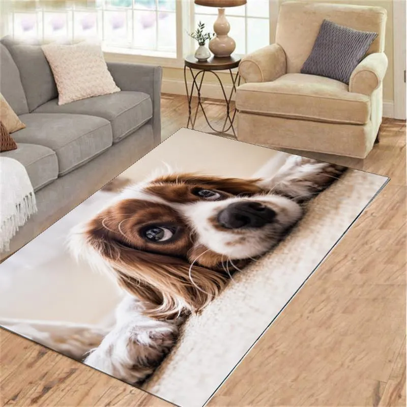 Tapis chien tapis tapis doux flanelle 3D imprimé tapis salon tapis zone anti-dérapant paillasson grand salon décor tapis