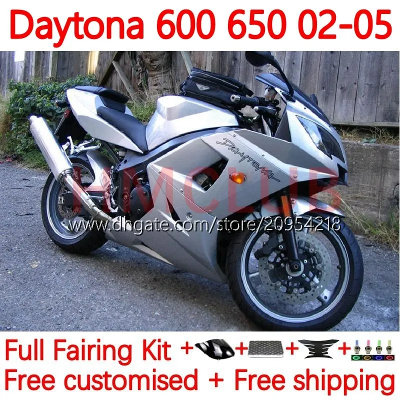 جسم الدراجات النارية لـ Daytona600 Daytona650 02-05 هيكل العمل 148no.23 Cowling Daytona 650 600 CC 02 03 04 05 Daytona 600 2002 2003 2004 2005 ABS Fairing Kit Silver