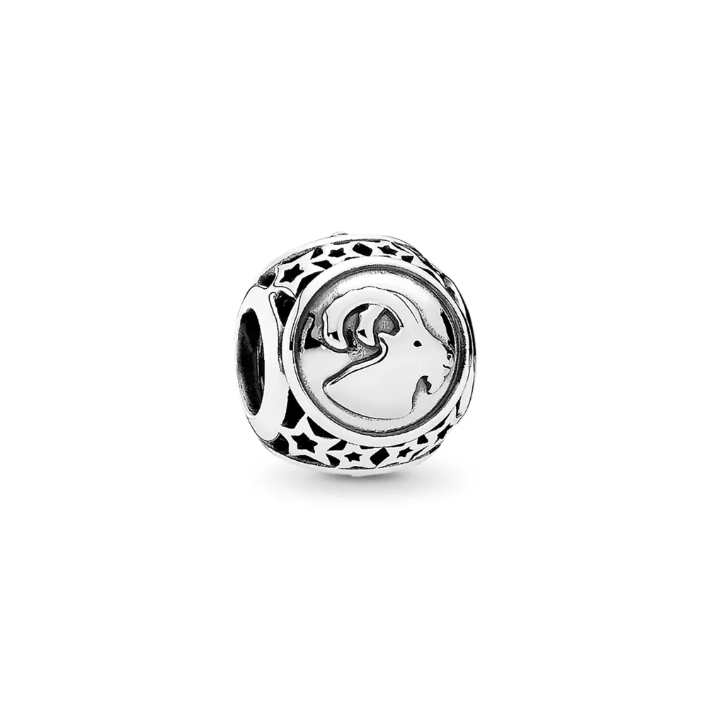 Capricorn Zodiac Sign Charm Bracelet, Pandora Inspired Beads