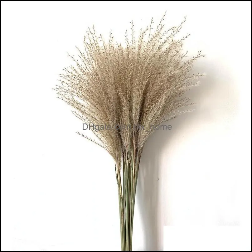 8pcs/10pcs/20 Pcs real dried small pampas grass wedding flower bunch natural plants decor home decor dried flowers Free shipping