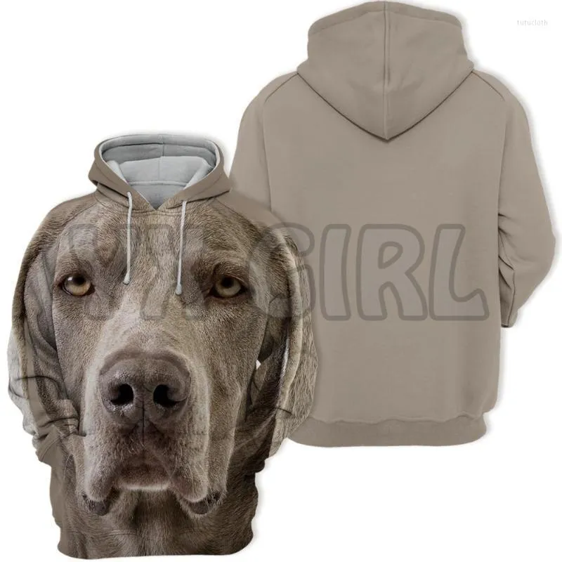 Erkek Hoodies Sweatshirts Hayvanlar Köpekler Weimaraner Mutlu 3d baskılı unisex kazak komik köpek kapüşonlu gündelik sokak eşofmanları