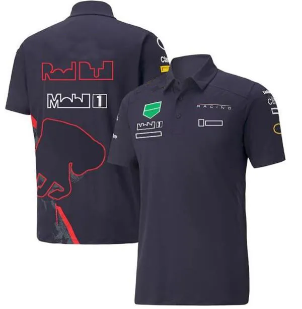 Men's T-shirts F1 Formula 1 Racing T-shirt Summer New Team Polo Suit Same Style Customization Hegc